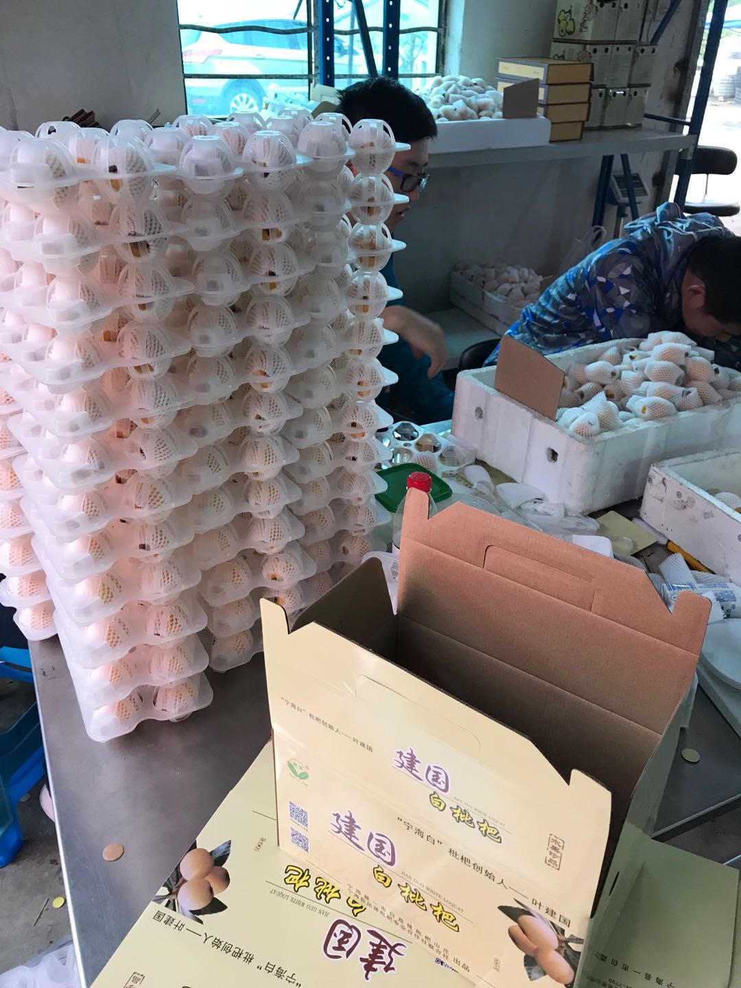 寧海白枇杷 一市建國(guó)的時(shí)令珍品，當(dāng)季新鮮直供